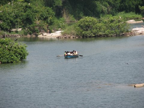 Indian Wild Life Club